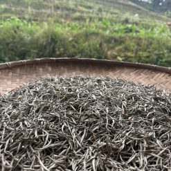 Bạch Trà Shan Tuyết Cổ Thụ